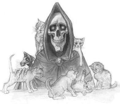 http://www.zemeplocha.info/images/chars/death.jpg
